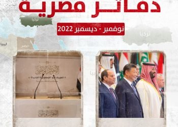 ما أبرز الملفات السياسية في مصر خلال شهري نوفمبر / ديسمبر 2022؟ (فيديو)