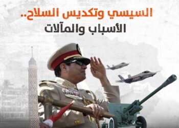 السيسي وتكديس السلاح.. الأسباب والمآلات