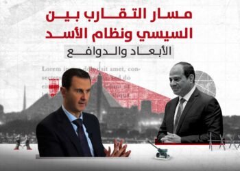 يمكن القول إن العلاقة بين نظام السيسي ونظام الأسد مبنية من حيث الأصل على أسباب استراتيجية، تتعلق بالتصدي لثورات الربيع العربي، هذا فضلًا عن سياسات تكتيكية حاول السيسي توظيف الأسد من خلالها فيما يخص علاقات مصر بكل من أنقرة وطهران.